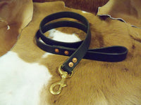 Dog leads